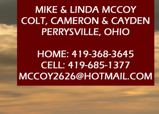 McCoy Show Lambs