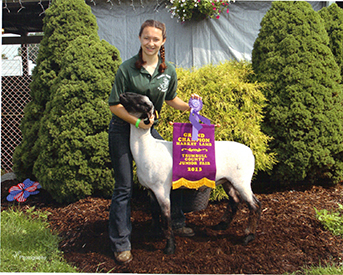 McCoy Show Lambs